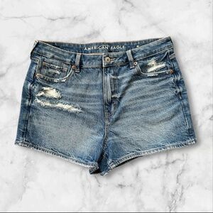 AE Strigid Denim Mom Shorts